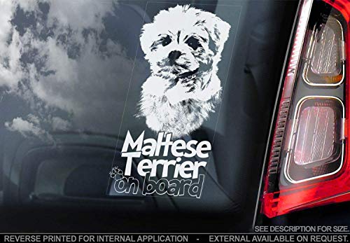 Maltesisch Terrier - Autoaufkleber - Hund Schild Fenster, Stoßstange Aufkleber Geschenk - V001 - Weiß/Klar - Interne Rückwärtsgang Aufdruck, 205x100mm von Sticker International