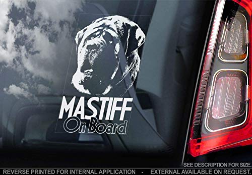 Mastiff - Autoaufkleber - Hund Schild Fenster, Stoßstange Aufkleber Geschenk - V003 - Weiß/Klar - Interne Rückwärtsgang Aufdruck, 170x100mm von Sticker International