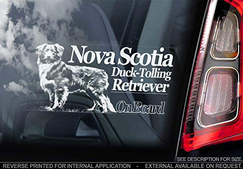 Nova Scotia Duck Tolling Retriever - Auto Sticker - Hund Schild Fenster, Bumper Aufkleber Geschenk - V001 von Sticker International