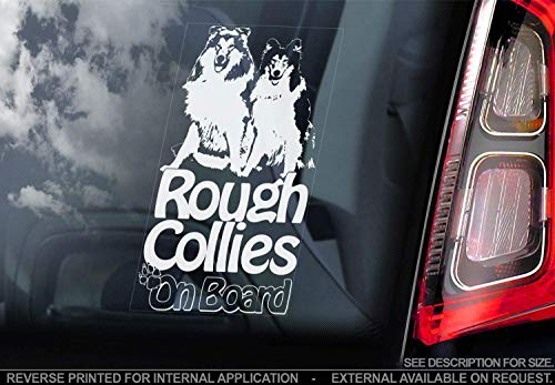 Rau Collie - Auto Sticker - Hund Schild Fenster, Bumper Aufkleber Geschenk - V002 von Sticker International