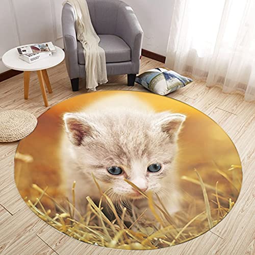 Runder Schlafzimmer Teppich Coffee Table Rug 3D Tier Katze Kätzchen Print Teenager Jungen Erwachsene Wohnzimmer Teppich Kinderzimmer Dekorativer Carpet Rutschfeste Stuhl Matte (Gelb,150 cm) von Sticker Superb.