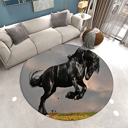 Runder Teppich 3D Tier Pferd Drucken Moderner Wohnzimmer Dekor Flanell Rug Schlafzimmer Küche Esszimmer Badezimmer rutschfeste Matte Spielstuhlmatte Krabbeldecke Für Kinder (Farbe 3,100cm) von Sticker Superb.