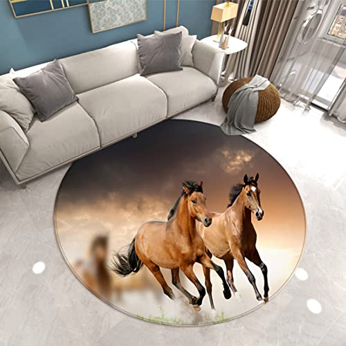 Runder Teppich 3D Tier Pferd Drucken Moderner Wohnzimmer Dekor Flanell Rug Schlafzimmer Küche Esszimmer Badezimmer rutschfeste Matte Spielstuhlmatte Krabbeldecke Für Kinder (Farbe 5,120cm) von Sticker Superb.