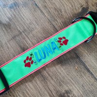 Buntes Individuelles Hundehalsband, Ausgefallen, Verstellbares Halsband, Hunde Geschenk, Tierhalsband, Rhodesian Ridgeback, Cobra Schnalle von StickereiRegina