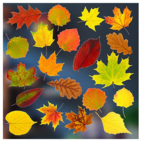 Herbstliche Aufkleber in Farbe in buntem Blätter-Design. Fenster-Aufkleber von Stickers4., weiß, Set 1 - 20 leaves von Stickers4