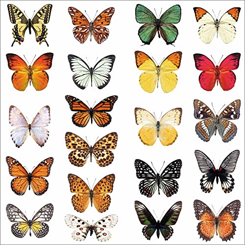 Schmetterling Fensteraufkleber zum Schutz vor Vogelschlag - 21 schöne Schmetterling Glassticker, doppelseitig und selbstklebend zum Schutz vor Vogelkollisionen von Stickers4