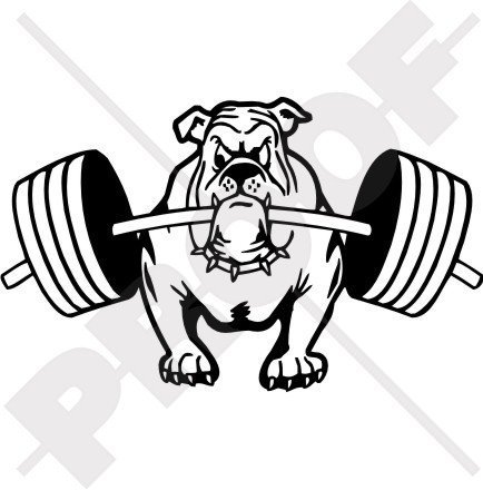 BULLDOG Gewichtheben Hund 200mm Auto & Motorrad Aufkleber, Vinyl Sticker - WAHL VON 22 FARBEN von StickersWorld