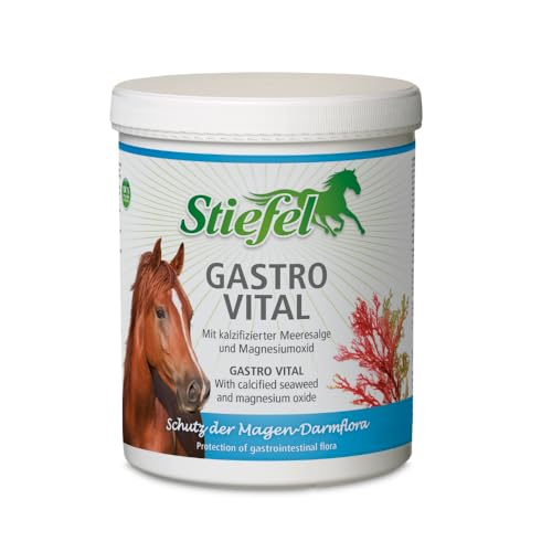 Stiefel Gastro Vital Ergänzungsfutter für Pferde zur Unterstützung von Magen & Darm Ergänzungsfuttermittel mit Algenkalk, Magnesiumoxid, Calcium & Magnesium 1 kg Dose von Stiefel