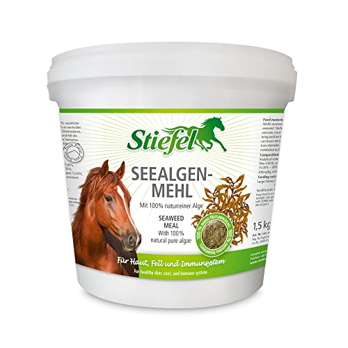 Stiefel Seealgenmehl für Pferde, 100% naturbelassene Seealgen, positiver Effekt auf Haut & Fell, unterstützt das Immunsystem, 1,5 kg von Stiefel