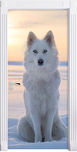 Stil.Zeit Möbel Weißer Wolf im Schnee als Türtapete, Format: 200x90cm, Türbild, Türaufkleber, Tür Deko, Türsticker von Stil.Zeit