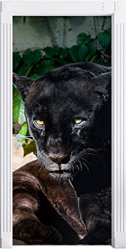 Stil.Zeit Möbel schwarzer Panther als Türtapete, Format: 200x90cm, Türbild, Türaufkleber, Tür Deko, Türsticker von Stil.Zeit