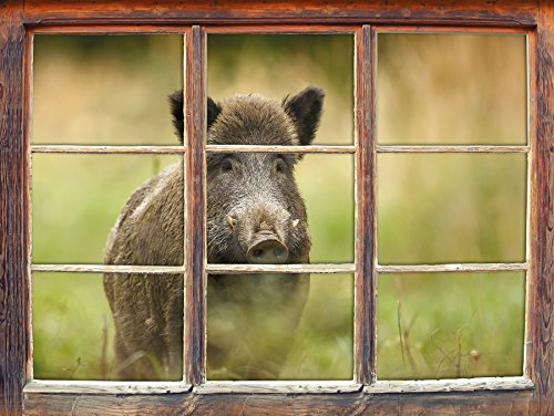 Stolzes Wildschwein im Wald Fenster 3D-Wandsticker Format: 92x62cm Wanddekoration 3D-Wandaufkleber Wandtattoo von Stil.Zeit