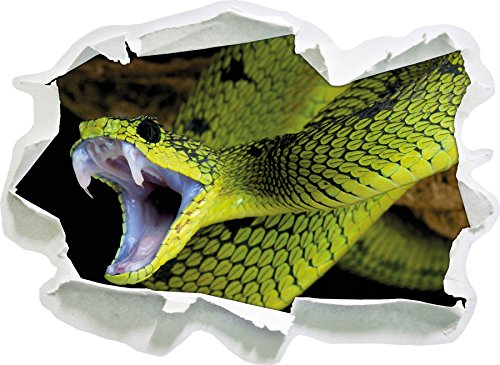 Giftige grüne Schlange, Papier 3D-Wandsticker Format: 92x67 cm Wanddekoration 3D-Wandaufkleber Wandtattoo von Stil.Zeit