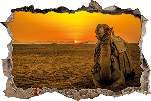 Kamel in ägyptischer Wüste bei Sonnenaufgang Wanddurchbruch im 3D-Look, Wand- oder Türaufkleber Format: 62x42cm, Wandsticker, Wandtattoo, Wanddekoration von Stil.Zeit