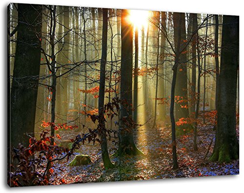 Sonnenstrahlen im Wald Format:80x60 cm Bild auf Leinwand bespannt, riesige XXL Bilder komplett und fertig gerahmt mit Keilrahmen, Kunstdruck auf Wand Bild mit Rahmen, günstiger als Gemälde oder Bild, kein Poster oder Plakat von Stil.Zeit