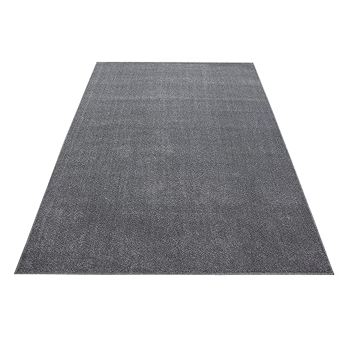 Stilvoll Günstig by ELMM Teppich Wohnzimmer Schlafzimmer Hellgrau 140 x 200 Unicolor - Einfarbig Kurzflor von Stilvoll Günstig by ELMM