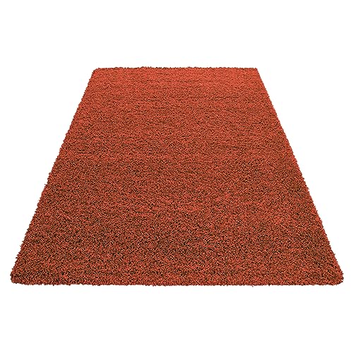 Stilvoll Günstig by ELMM Teppich Wohnzimmer Schlafzimmer Terrakotta 60 x 110 Unicolor - Einfarbig Hochflor von Stilvoll Günstig by ELMM