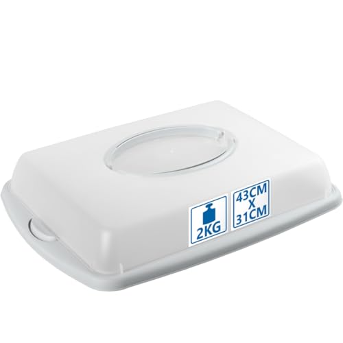 Stimo Kuchen Transportbox mit Tragegriff Deckel Kuchenbehälter Blechkuchen Container mit Klickverschluss (Hellgrau) von Stimo