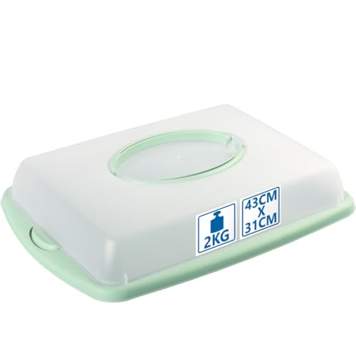 Stimo Kuchen Transportbox mit Tragegriff Deckel Kuchenbehälter Blechkuchen Container mit Klickverschluss (Mintgrün) von Stimo