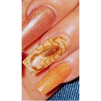 Fünf | 5 Medium Arizona Bark Scorpions _ Gut Für Lange Nail Art _(Centruroides Sculpturatus von StingersAndFangs