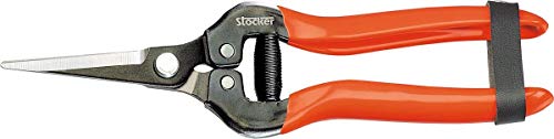 TIJERA ESPECIAL VENDIMIA 19. STOCKER von Stocker