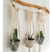 Makramee Hängeampel 63 X 15 cm/Einzeln Oder Im Set - Blumenampel Makramee Hängeampel 63 X 15 cm/Einzeln Oder Im Set - Blumenampel von StockundSeil