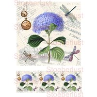 4 X Hortensien Hydrangea Und Libelle Auf A Rub On Sticker Oder Wasserschiebefolie Laser Transferfolie, Möbel, Papier, Möbeltattoo Diy von StoeberlustKreativ