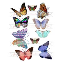 Dacalfolie Wasserfest Schmetterling, Butterfly Auf A 4 , Waterslide, Wasserschiebefolie von StoeberlustKreativ