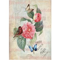 Decal, Wasserschiebefolie Wasserfest Shabby Chic Vogel Rose Schmetterling Auf Canvas, Transferfolie, Möbel, Papier, Verschiedene Größen von StoeberlustKreativ