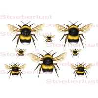 Wasserschiebefolie Laser Wasserfest 7 Bienen Auf A 4 Schwarz Hintergrund Transparent Möbeltattoo Abziehbild von StoeberlustKreativ