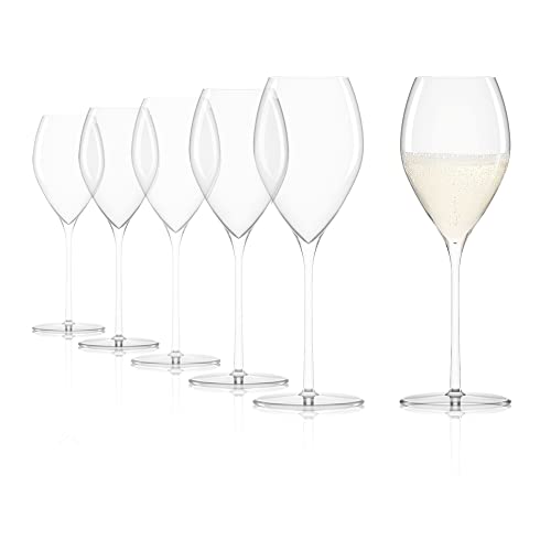 Stölzle Lausitz Champagner Glas Fino/Elegantes leichtes Champagner Gläser Set 6-teilig/Hochwertige Sektgläser aus Kristallglas/Aperitif Gläser/Prosecco Gläser/Sektflöten Glas von Stölzle Lausitz