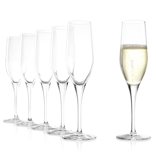 Stölzle Lausitz Sektgläser Exquisit 6er-Set 175ml – Elegante Schaumweingläser ideal für Sekt & Prosecco – Hochwertiger Sektkelch aus Kristallglas – Spülmaschinen- & Stoßfest, Made in Germany von Stölzle Lausitz