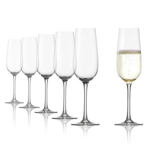 Stölzle Lausitz Sektgläser Weinland 6er-Set 200 ml – Elegante Champagner Gläser ideal für Sekt & Prosecco – Hochwertiger Sektkelch aus Kristallglas – Spülmaschinen- & Stoßfest, made in Germany Stölzle Lausitz Sektgläser Weinland 6er-Set 200 ml – Elegante Champagner Gläser ideal für Sekt & Prosecco – Hochwertiger Sektkelch aus Kristallglas – Spülmaschinen- & Stoßfest, made in Germany von Stölzle Lausitz