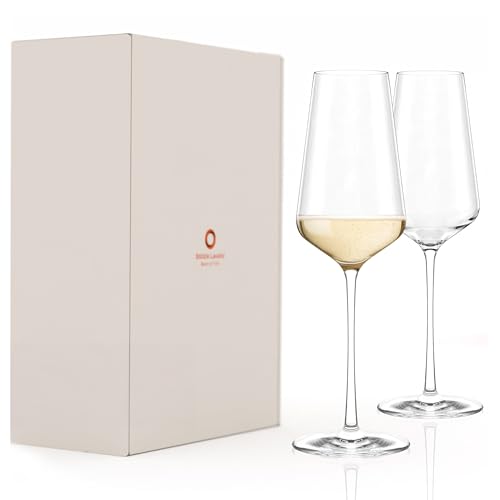 Stölzle Lausitz Starlight Champagnerkelche 2er-Set I 290ml Champagner Kelche ideal für Sekt oder Prosecco I Spühlmaschinenfeste Schaumweingläser I Elegante & Stoßfeste Sekt Kristallgläser von Stölzle Lausitz
