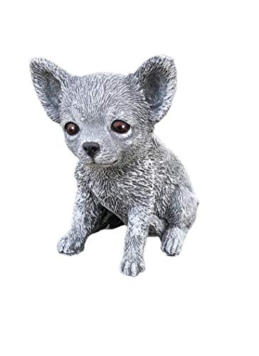 stoneandstyle Steinfigur Chihuahua Hund, Frost- und Wetterfest, handgearbeitet von stoneandstyle