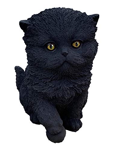 Steinfigur Perser Kitten schwarz Steinguss frostfest wetterfest Steinfigur Perser Kitten schwarz Steinguss frostfest wetterfest von stoneandstyle