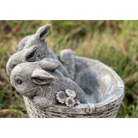 Stoneandstyle Steinfigur 3 Hasen Im Korb Pflanztopf Frostfest Steinguss Stoneandstyle Steinfigur 3 Hasen Im Korb Pflanztopf Frostfest Steinguss von StoneandstyleDE