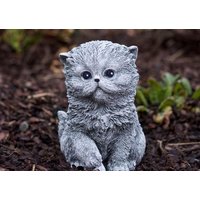 Stoneandstyle Steinfigur Perser Katze Kitten Frostfest Gartenfigur Steinguss von StoneandstyleDE