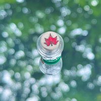 Klingelknopf - Led Verkabelt Sugar Maple Leaf von Stoneleafdoorbell