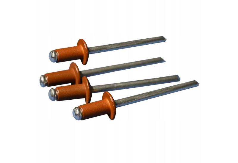 Stop Sun Niete MD/n, 4x8 Niete Weiß/Anthrazit/Goldene Eiche (Packung - 100 Stück) von Stop Sun