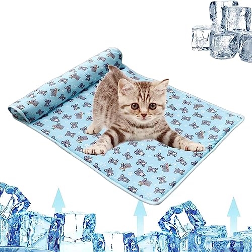 Storaffy Kühlbett für Hunde Katzen, Selbstkühlende Kühlmatte Katze, 2-in-1 Atmungsaktive aus Eisseide mit Kissen, Kühldecke, Matten, Haustierbett Welpen, Kätzchen, 80 x 60 cm von Storaffy