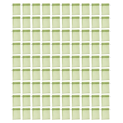 100 Pcs Fruit Protections Bag Insekt Kontroll Pflanze Mesh Beutel Garten Erdbeertrauben Kordelzugbeutel Mesh Obstnetz Für Bäume Mit Kordelmesser von Storage Bag