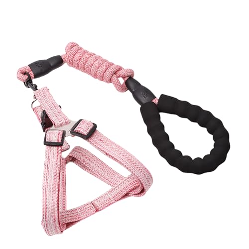 Storage Bag Hundeweste Leine Für Training Von Wandergürtel Für Große Mittelgroße Hunde D Schnalle Seil Mehrfarbige Trainingsseilhunde Storage Bag Hundeweste Leine Für Training Von Wandergürtel Für Große Mittelgroße Hunde D Schnalle Seil Mehrfarbige Trainingsseilhunde von Storage Bag