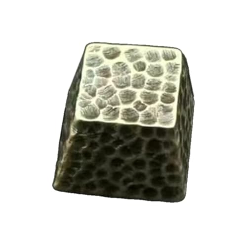 Storage Bag Nur Schlüsselcap Gravierte Mesoriten Meteoriten Schlüsselkaps 1Keys Für Mechanische Tastaturen Cherrys Profilspiele Schlüsselkaps Graviertes Schlüsselcaps von Storage Bag