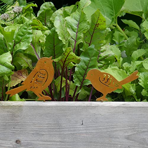 Deko Vogel im 2er Set 10-13cm Edelrost Gartendeko zum Einschrauben Metall Zaunschmuck von Storm's Gartenzaubereien