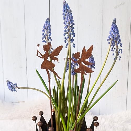 Gartenstecker Elfe Rost - 2er Set Metall Elfen Figuren - Feen Deko für Garten, Beet - Balkon - Rostdeko Gartendeko Elfenfigur Gartenstecker Elfe Rost - 2er Set Metall Elfen Figuren - Feen Deko für Garten, Beet - Balkon - Rostdeko Gartendeko Elfenfigur von Storm's Gartenzaubereien