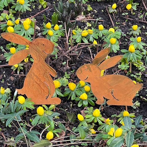 Storm's Gartenzaubereien Gartenstecker - Osterhasen 2er Set zum Stecken 16-13 cm groß Hasen für die Osterdekoration in Rostoptik Storm's Gartenzaubereien Gartenstecker - Osterhasen 2er Set zum Stecken 16-13 cm groß Hasen für die Osterdekoration in Rostoptik von Storm's Gartenzaubereien
