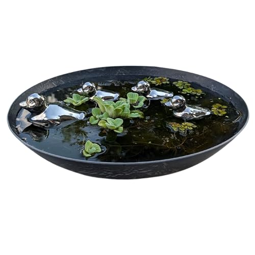 Storm's Gartenzaubereien Keramik Entenfamilie - 35cm graue Kunststoffschale - Elegante Dekoration Silber - Miniteich Set - Balkonteiche - Schwimmdeko für Teich von Storm's Gartenzaubereien