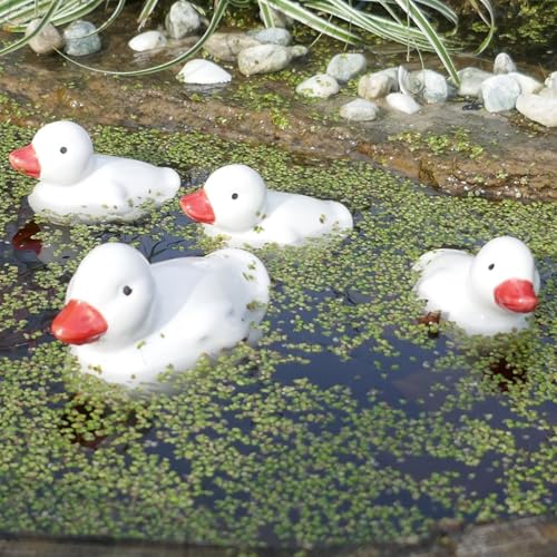 Keramik Entenfamilie - Schwimmdeko für Teich u. Garten - Elegante Dekoration weiß - Tierdeko für Miniteiche - Balkonteiche - Gartendeko Tierfiguren von Storm's Gartenzaubereien
