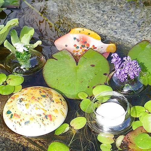 Storm's Gartenzaubereien Miniteich Set Schwimmlinse Schwimmfisch in Gelb mit Schwimmschale und Blütenringen von Storm's Gartenzaubereien